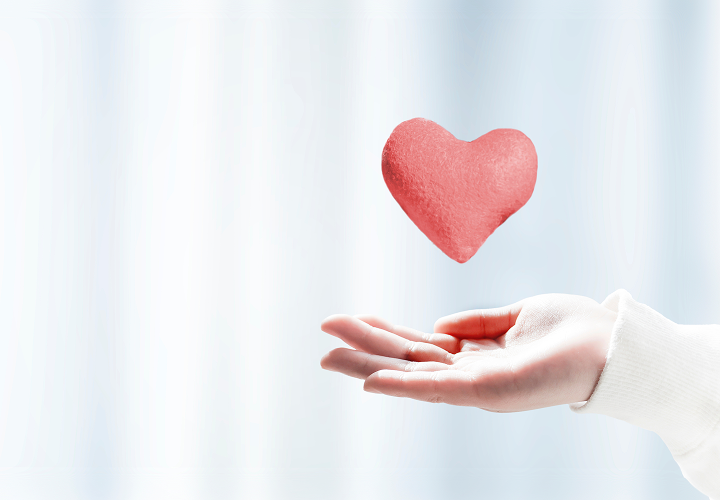 セラミックの保証制度あり