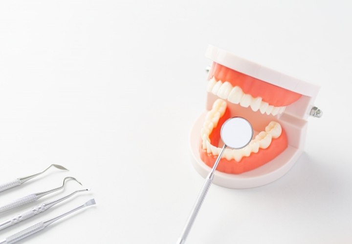 試適（仮義歯の装着・調整）