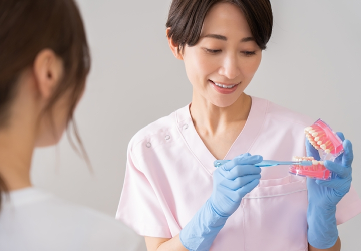 ブラッシングの指導