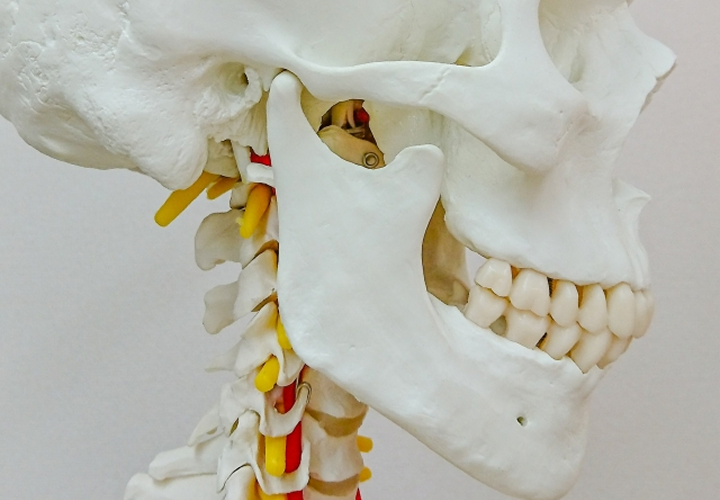 顎関節の状態評価（痛み・音・開口量など）