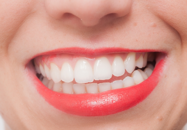 咬合力と顎の動きの検査